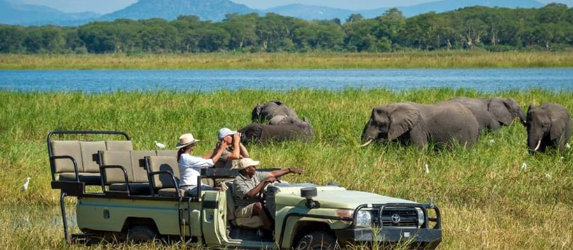 Southern & Central Malawi Experience