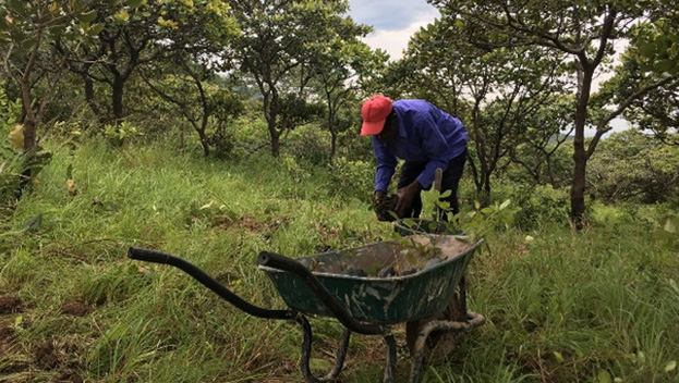 Ntchisi Forest Lodge