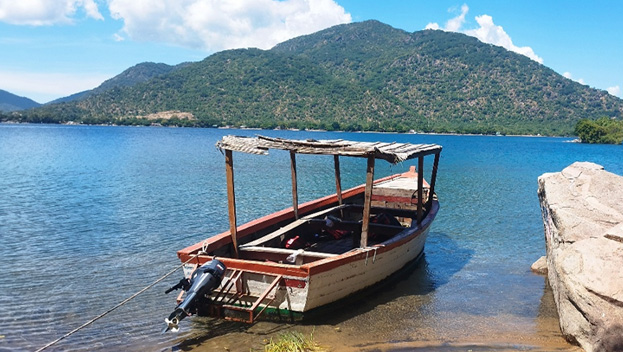 Boat Tours