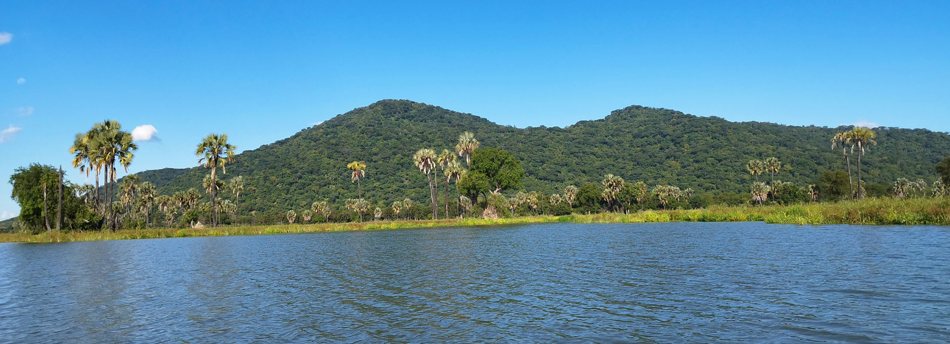 Liwonde National Park