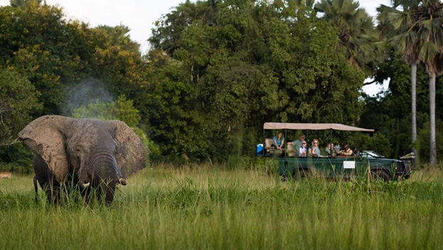 Liwonde National Park