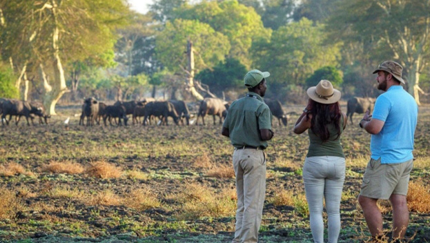 Liwonde National Park