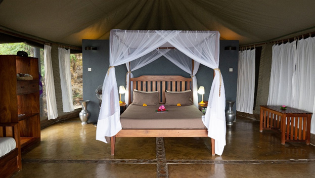 Blue Zebra Island Lodge