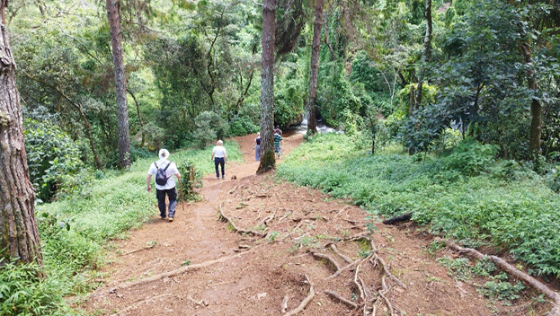 Zomba Hiking