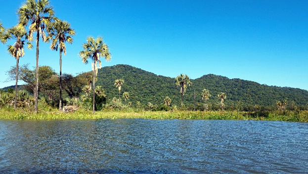 Liwonde National Park