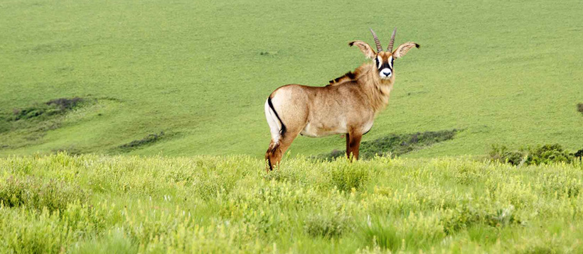 Central & Northern Malawi