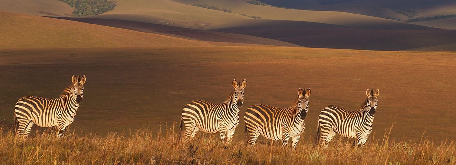 Nyika National Park
