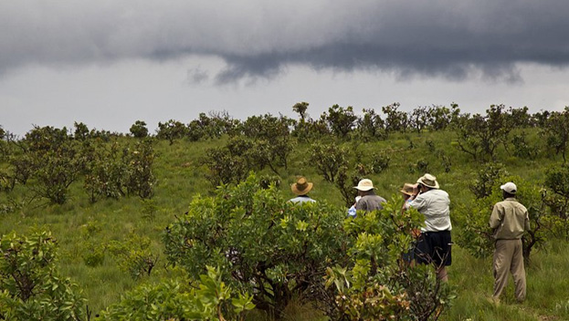 Nyika National Park