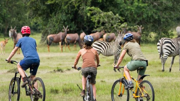 Nyika National Park