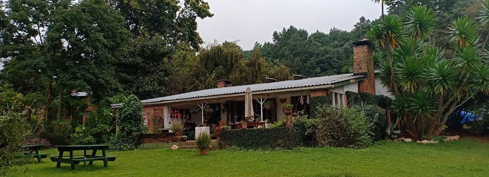 Viphya Plantations