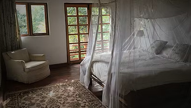 Luwawa Forest Lodge