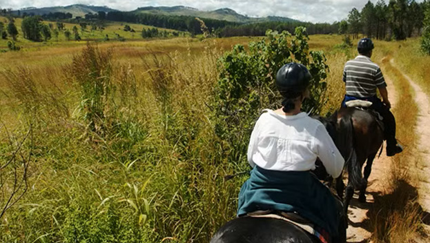 Northern Malawi