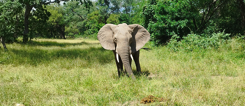 Southern Malawi Uncovered