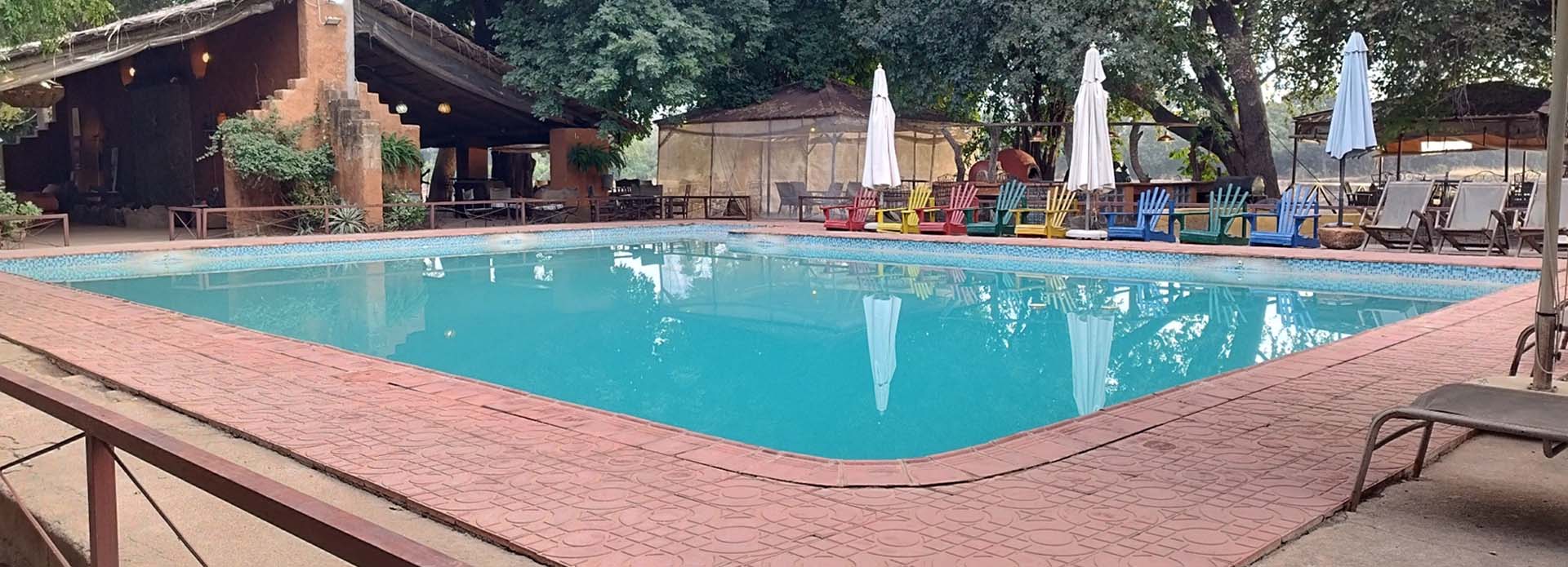Croc Valley Camp