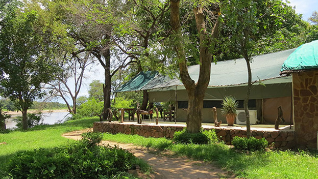 Croc Valley Camp