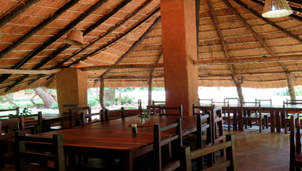 Croc Valley Camp