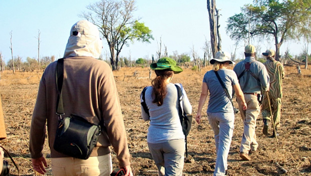 Croc Valley Camp