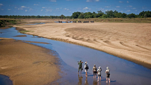 Kafunta River Lodge