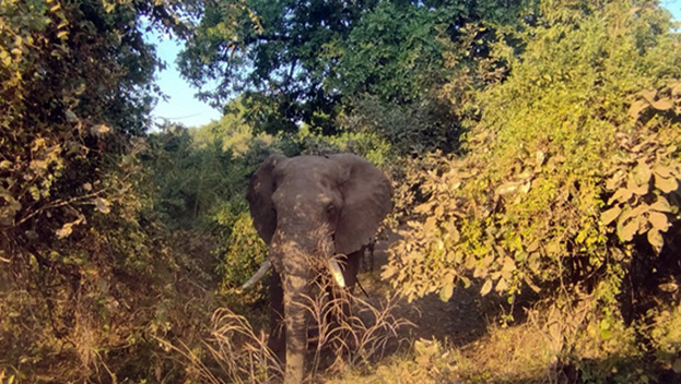 KuKaya Lodge