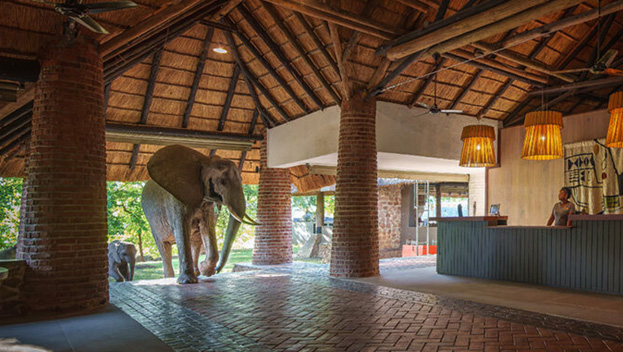 Mfuwe Lodge