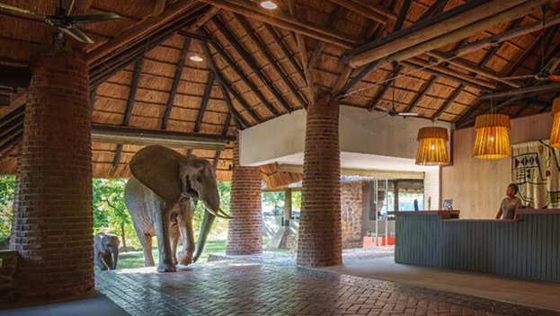 South Luangwa National Park 