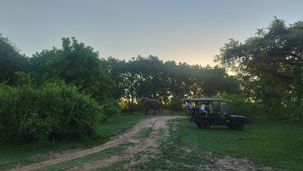 South Luangwa National Park 