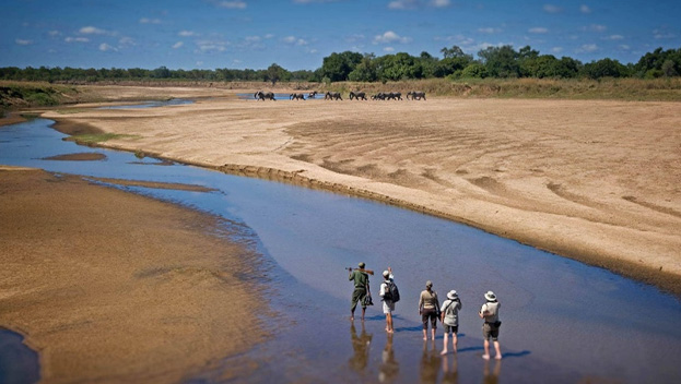 South Luangwa National Park 
