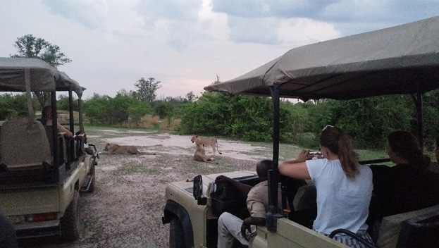 South Luangwa National Park 