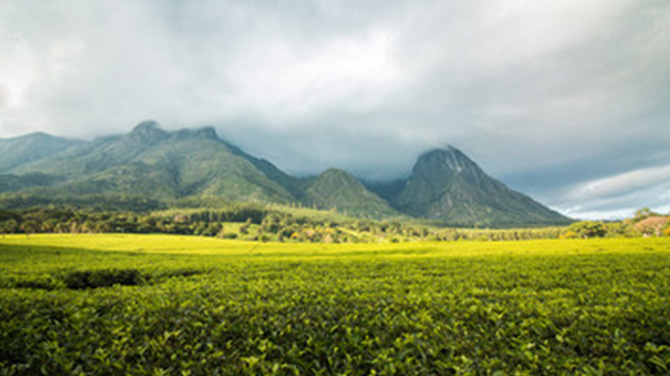 Mount Mulanje