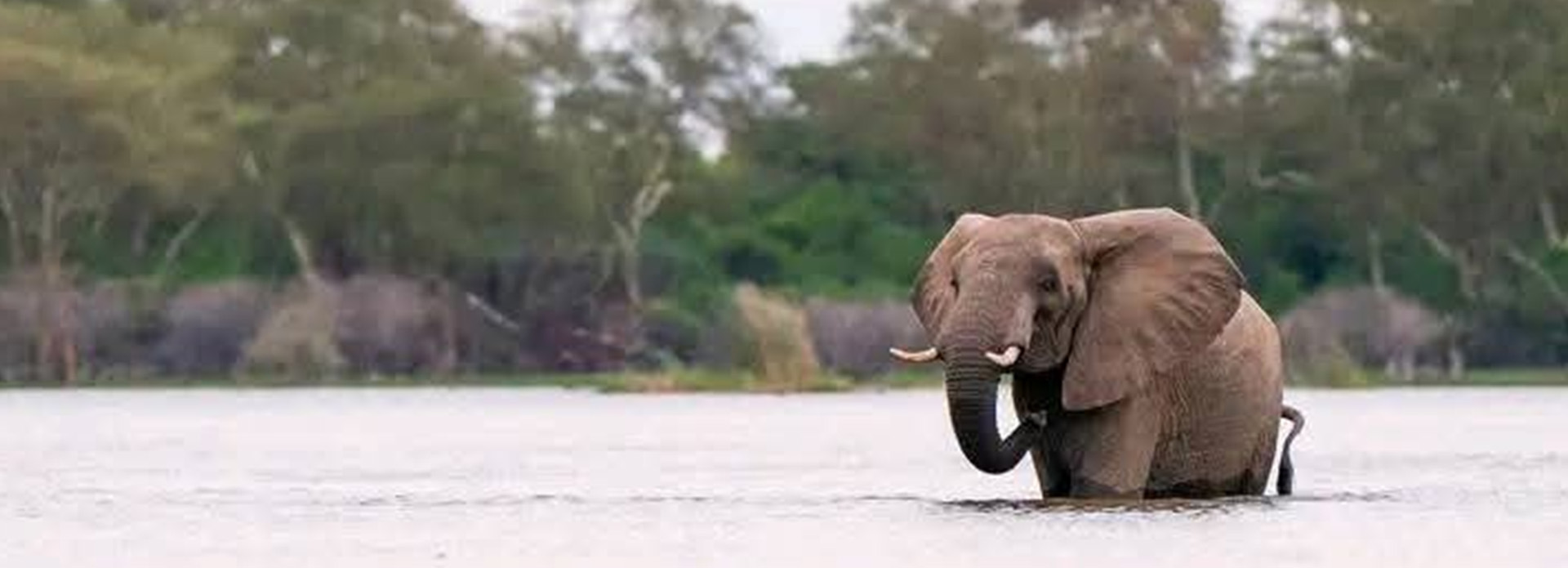 Destination Malawi - Southern Region