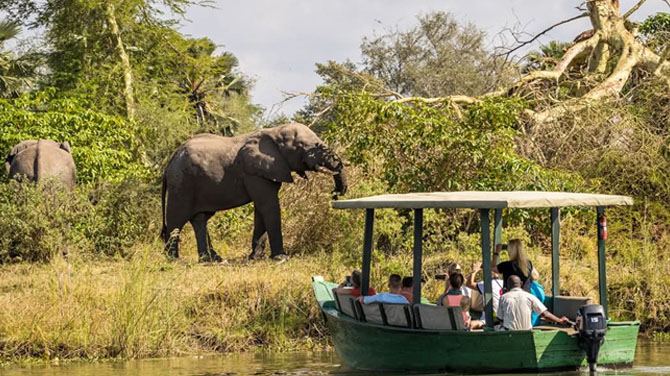Liwonde National Park